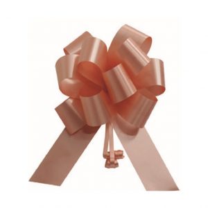 Laço para presente - Mini Mini  PCT com 10 - Poli (Plástico) - Salmão