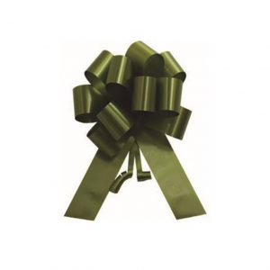 Laço para presente - Mini Mini  PCT com 10 - Poli (Plástico) - Verde Musgo