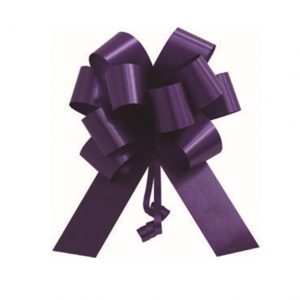 Laço para presente - Mini Mini  PCT com 10 - Poli (Plástico) - Violeta